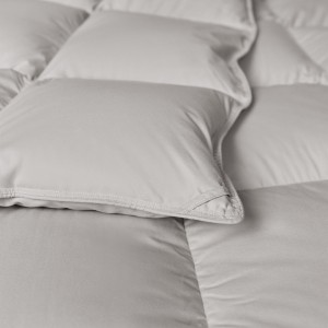 Goose Down Duvet for Wonderful Night