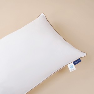 Evacove® Compartment Luxe Goose Down Pillow Core