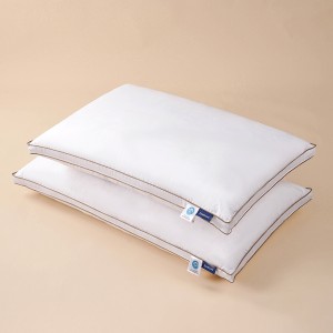 Evacove® Cassette Double-Stitched Compartment Luxe Goose Down Pillow Core