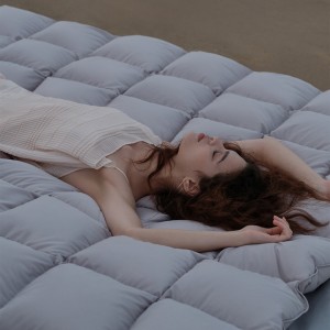 Goose Down Duvet for Wonderful Night