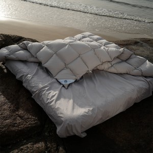 Goose Down Duvet for Wonderful Night